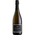 Blanc De Blancs Chardonnay Vino Spumante di Qualità Metodo Classico Extra Brut Puiatti Vino Bianco 1 Bottiglia CL 75